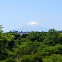 ご機嫌リンちゃんあんちゃん　富士山