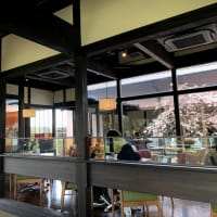 今年もきれいに咲いてますが　　　　　2025.03.30
