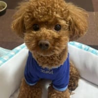 朝からテニス、後はのんびり