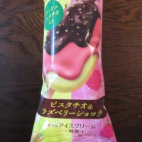 久しぶりの草むしり