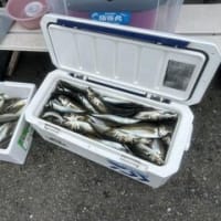 明日は定休日、週末お待ちしてます