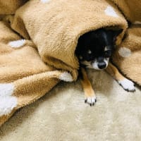 2月になったﾘﾘ～