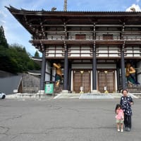 孫の子守り・午後は家内も一緒に花の桔梗寺・遍照寺・但馬大仏長楽寺