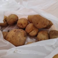 【またまたいただき物】ジャガイモ