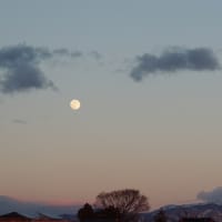 晴れ渡った３連休