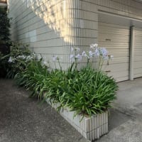 ビックリ！「能里メソッド」にあまりに似ている