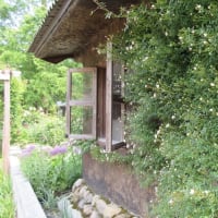 ６月初めの蒜山ハービル