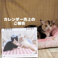 カレンダーの売り上げのご報告