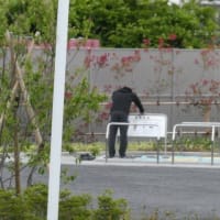発見！　足つぼ押してる！！