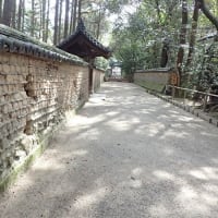 古都奈良と吉野の桜～その４　西の京　唐招提寺