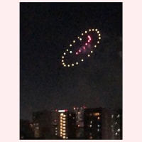 ★隅田川花火大会2025（動画あり）★