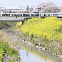 秋篠川