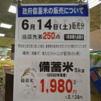 🍚どーしょう🤔
