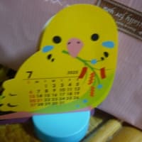 今日から。。7月です。