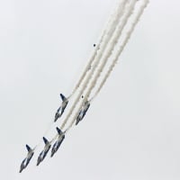 4月に見かけた 大きな鳥たち　引っ越ししました