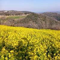 マザー牧場と久留里城