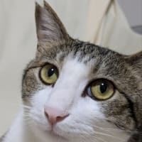 クリンへの想いは尽きなくて・・295
