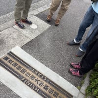 昼猶(なほ)闇(くら)き　杉の並木