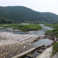 本日の海部川