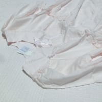 今夜更新新作速報☆彡