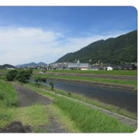 ３　安佐北ノルディック・ウォーク392　　護岸道路をウォーク