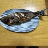 生まれて初めてイサキを食べました。
