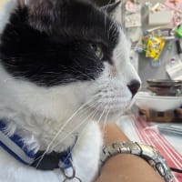 2025/6/25の朝