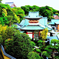 🐉🍃新緑の【池上本門寺】光景❢❢