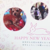 年賀！