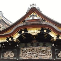 #6899 二条城②('19年9月 弾丸 京都_23)