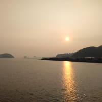 氷川町梨マラソンにエントリー