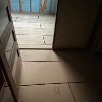 ご無沙汰です…