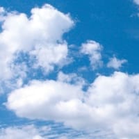 マイナンバーカードが読み取れない❗の時(ぴったりサービス失敗)