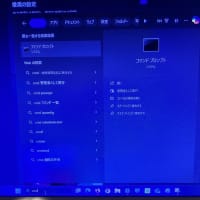 Windows11_24H2のクリーンインストール手順