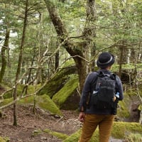 雁ヶ腹摺山・姥子山登山