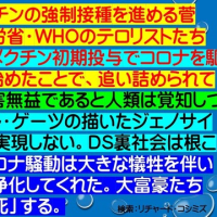 フライヤー：世界が「イベルメクチン初期投与でコロナを駆逐できる」と認識し始めた。