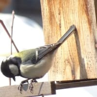 天使の階段