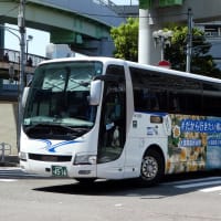 本四海峡バス M1306