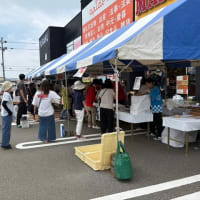 昨夜孫の澪奈がお泊り・アピデテント市28・29開催・弟修生の逮夜お参り