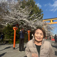 サクラの花見〜 2025春