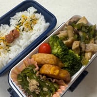 6月13日のお弁当