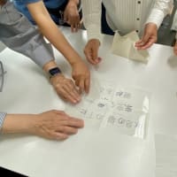 子なしサークル　2025-6月