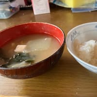 歯間ブラシのメーカーが気になったけど、まぁ、良いか