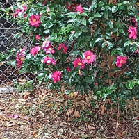 動き出したその先は