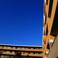 Super Blue