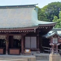 ６月５日 人間ドック、６日 氷川神社参拝