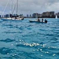 ワイキキ沖で散骨 マラサダ合戦
