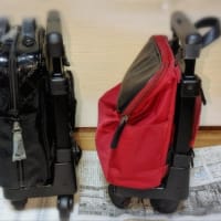 キャリーバッグ届きました