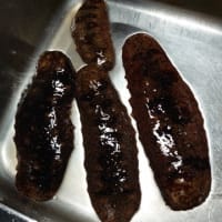 サクラとニジマス釣り・・・