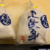 今年初の河岸へ